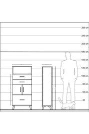 Hyperion Dolap 2 Raflı 3 Çekmeceli 2 Kapaklı 60x44x134 Çam-Antrasit
