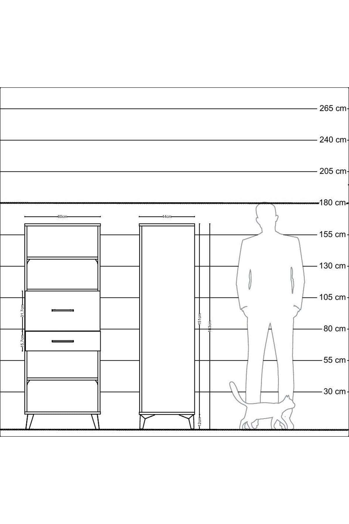 Hyperion Dolap 3 Raflı 2 Çekmeceli 60x44x163 Çam-Çam