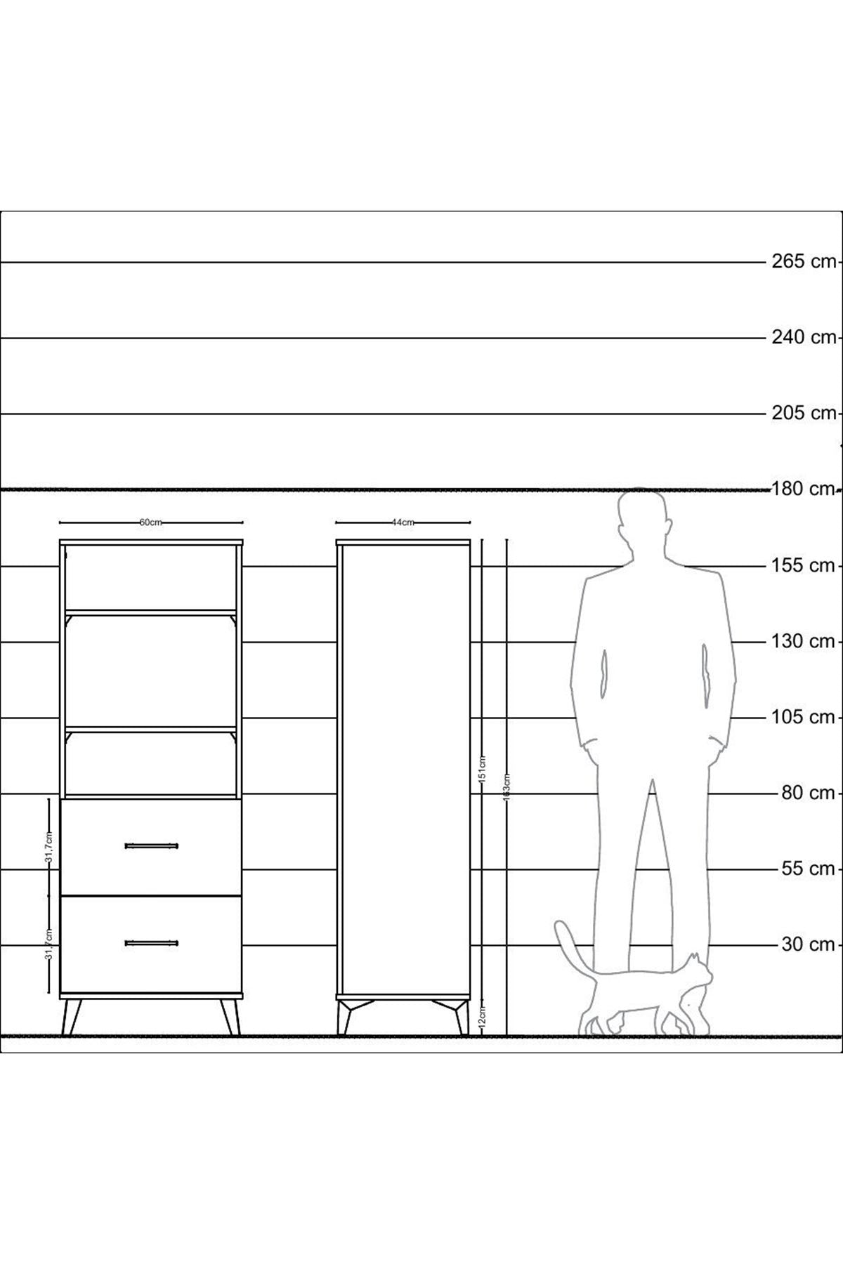 Hyperion Dolap 3 Raflı 2 Çekmeceli 60x44x163 Çam-Çam