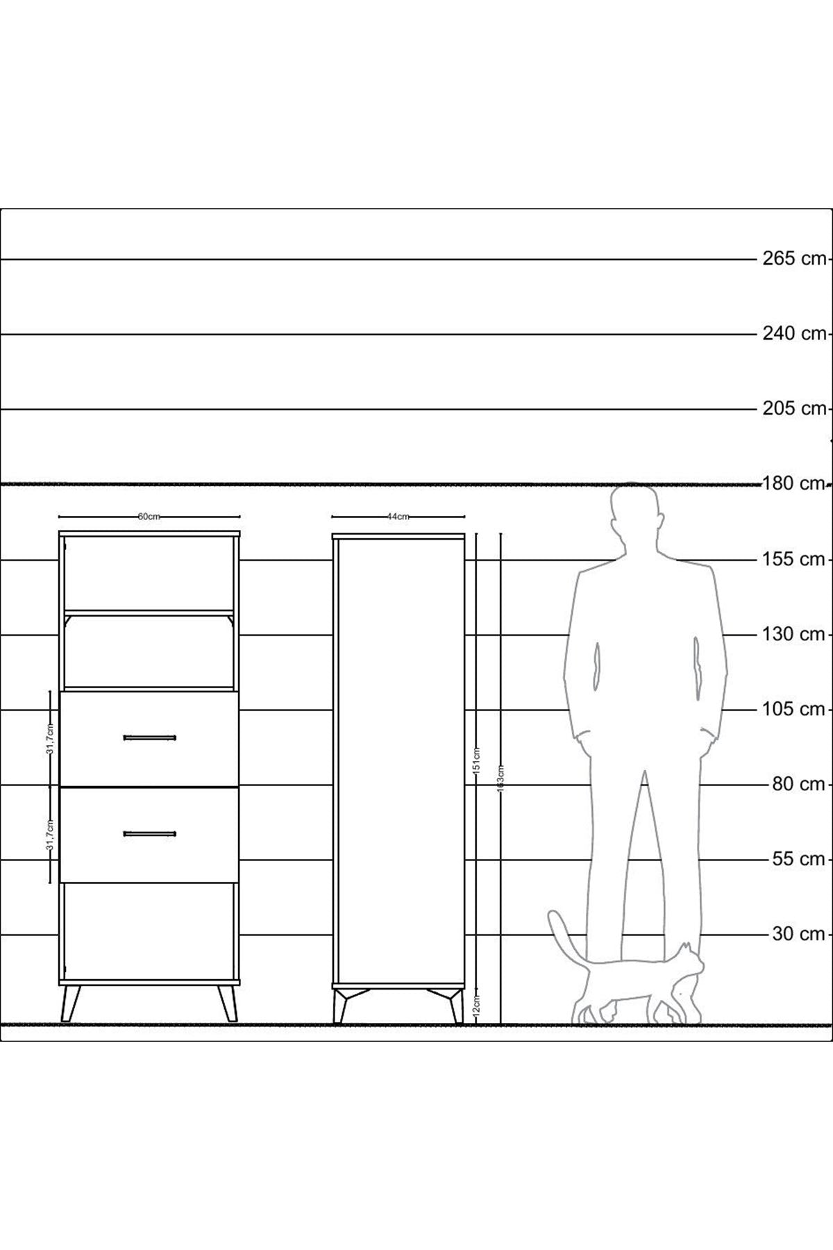 Hyperion Dolap 2 Raflı 2 Çekmeceli 60x44x163 Çam-Çam