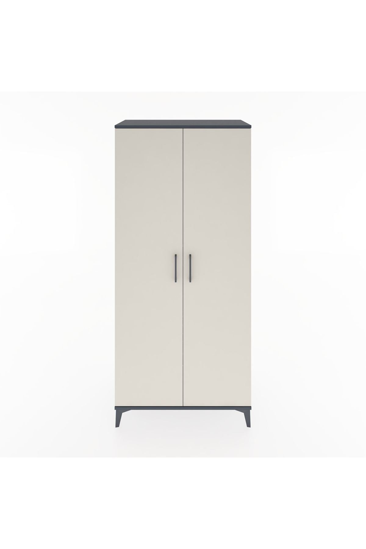 Hyperion Dolap 3 Raflı 2 Kapaklı Tek Askılı 88x44x195 Antrasit-Aytaşı