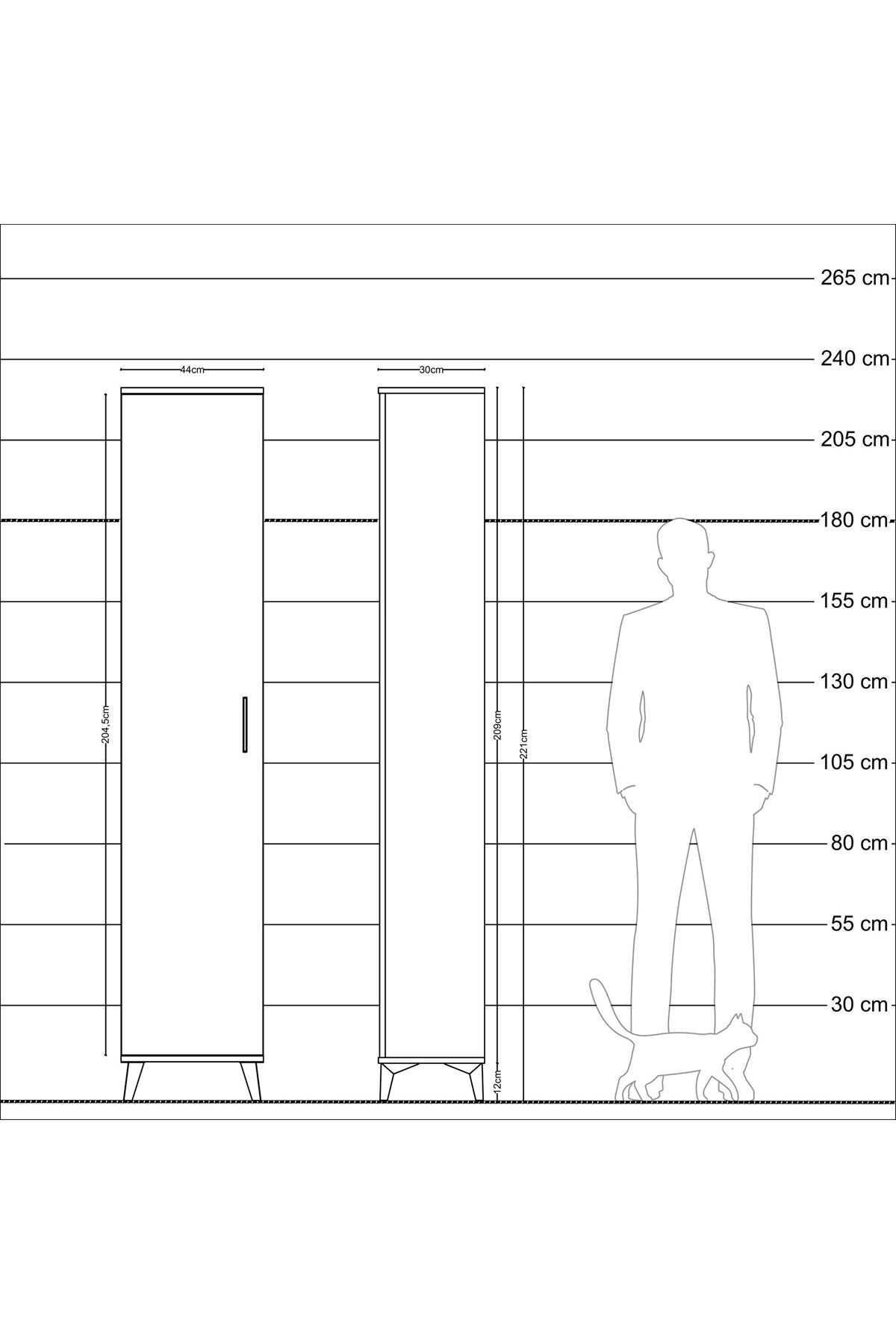 Arges Dolap 2 Raflı Tek Kapaklı Tek Askılı 44x30x221 Antrasit-Antrasit