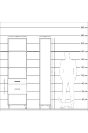 Arges Dolap 3 Raflı 2 Çekmeceli 60x30x221 Antrasit-Çam