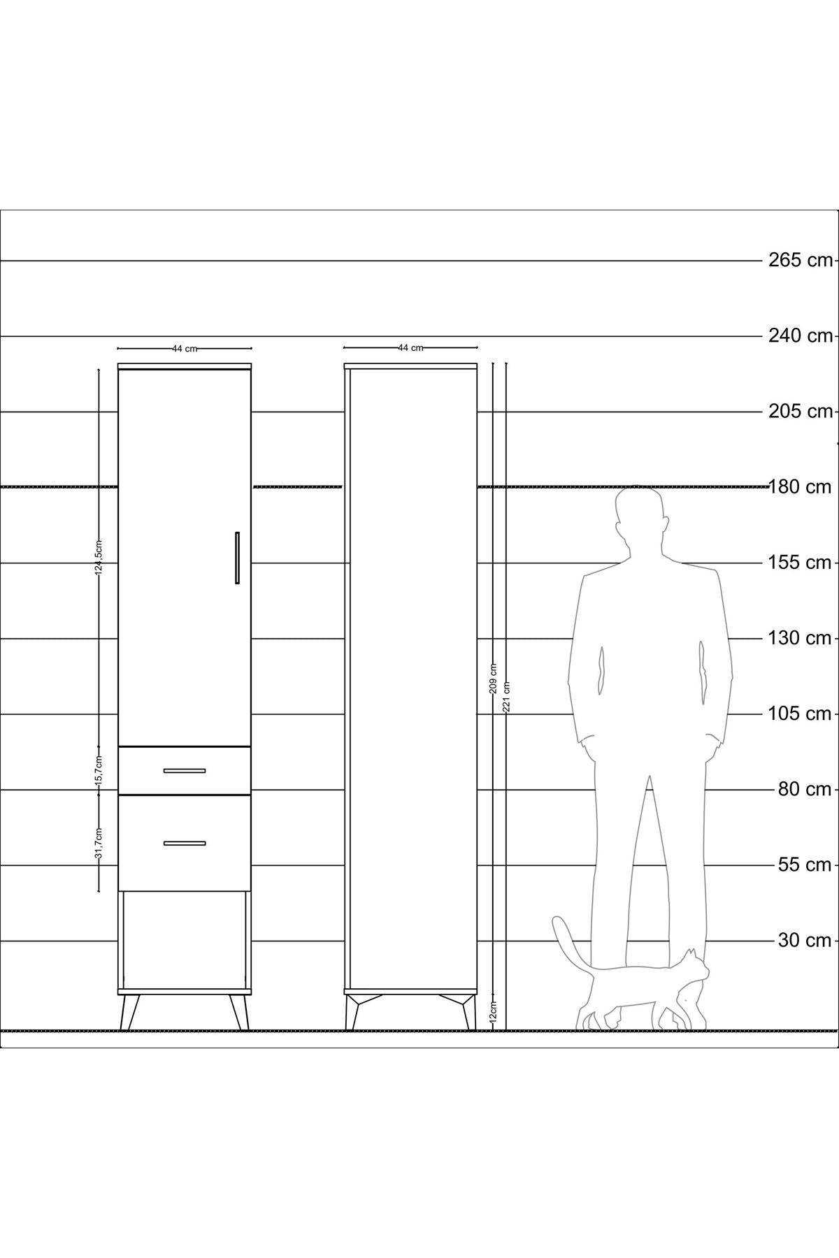 Hyperion Dolap 3 Raflı 2 Çekmeceli Tek Kapaklı 44x44x221 Antrasit-Çam