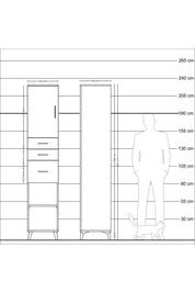 Hyperion Dolap 3 Raflı 3 Çekmeceli Tek Kapaklı 44x44x221 Antrasit-Çam