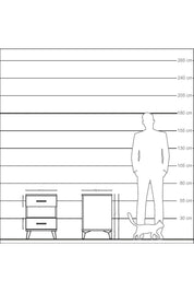 Kronos Komodin Tek Raflı 2 Çekmeceli 44x59x64 Aytaşı-Çam