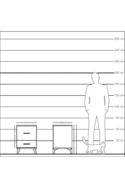 Kronos Komodin 2 Çekmeceli 44x59x64 Çam-Antrasit