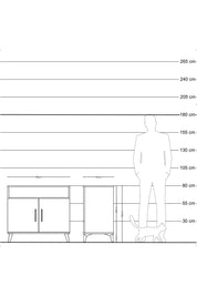 Hyperion Şifonyer 2 Raflı 2 Kapaklı 88x44x80 Çam-Antrasit