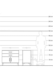 Hyperion Şifonyer 2 Çekmeceli 2 Kapaklı 88x44x80 Antrasit-Antrasit