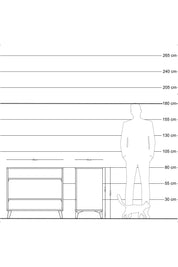 Hyperion Şifonyer 2 Raflı 88x44x80 Antrasit-Çam