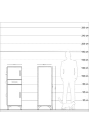 Kronos Dolap 2 Raflı Tek Çekmeceli 2 Kapaklı 44x59x134 Çam-Çam