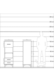 Kronos Dolap 2 Raflı 3 Çekmeceli 44x59x134 Çam-Antrasit