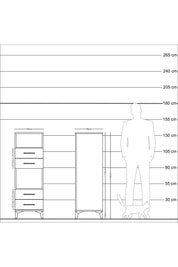 Kronos Dolap 2 Raflı 4 Çekmeceli 44x59x134 Çam-Çam