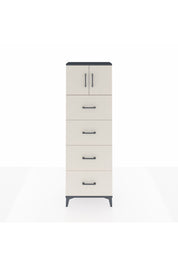 Arges Dolap 2 Raflı 4 Çekmeceli 2 Kapaklı 60x30x182 Antrasit-Aytaşı