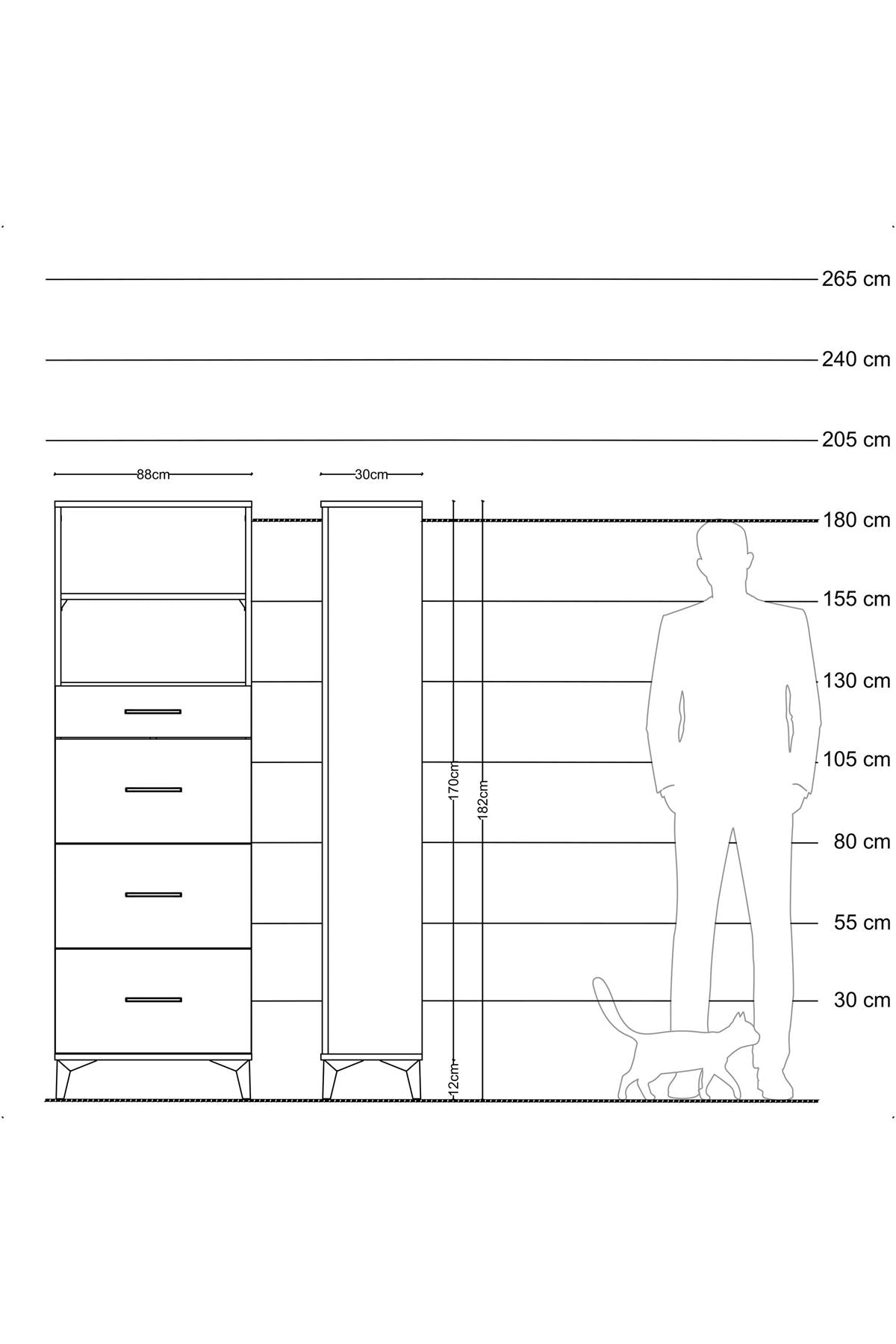 Arges Dolap 2 Raflı 4 Çekmeceli 88x30x182 Antrasit-Antrasit