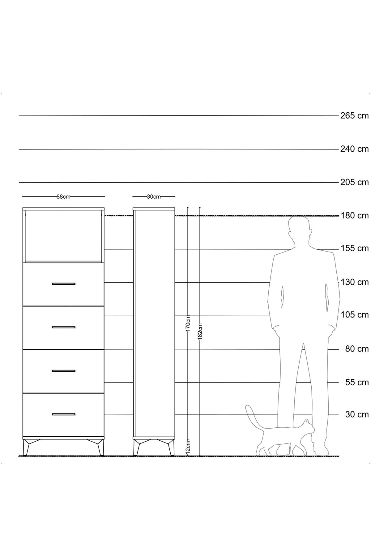 Arges Dolap 2 Raflı 4 Çekmeceli 88x30x182 Antrasit-Antrasit